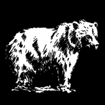 Pielbrumas.png (19 KB) Fur from a normal bear of very high value