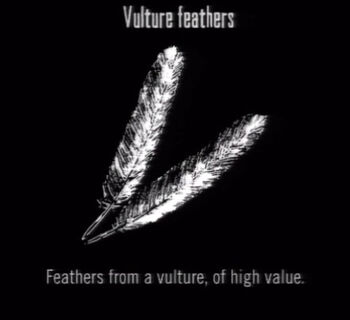 Animals Vulture Feathers