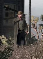 Rufus' beta hat model.