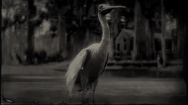 SpoonbillRDR2