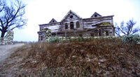 Rdr tumbleweed mansion