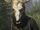 Pagan Skull Mask
