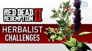 Red Dead Redemption 2 - Herbalist Challenge Guide