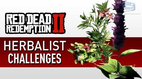Red_Dead_Redemption_2_-_Herbalist_Challenge_Guide