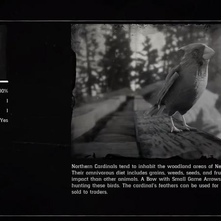 Cardinal Red Dead Wiki Fandom Select from premium cardinal feather of the highest quality. cardinal red dead wiki fandom