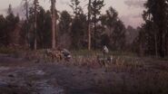 Pack of Wolves