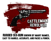 The Cattleman Revolver.