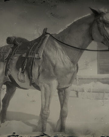Belgian Draft Horse Red Dead Wiki Fandom