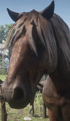 Brown Jack | Red Dead Wiki | Fandom