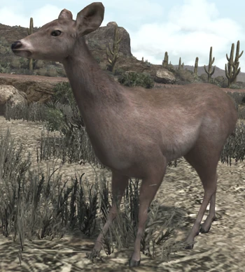 Deer | Red Dead Wiki | Fandom
