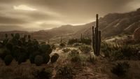 Cholla Springs northeast