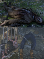 Limpany Corpses