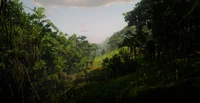 Jungles in Guarma 13.png (3.41 MB) Jungles in Guarma 13