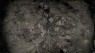 Burdock Root in the compendium