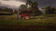 RDO-Madam at Bolger Glade