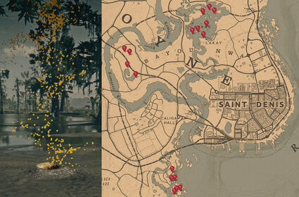 Crayfish holes map