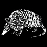 Pielarmadillo