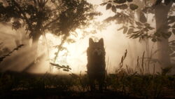 Red Dead Redemption 2 Gallery Red Dead Wiki Fandom Podpishites, chtoby zagruzit hd red dead redemption backgrounds. red dead redemption 2 gallery red