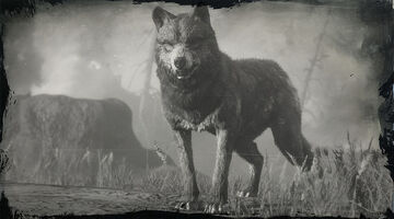 Legendary Wolf &ldquo;Hotah&rdquo; | Red Dead Wiki | Fandom