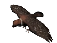 Pajaro cantor3.png (485 KB) A rare red Songbird found in Mexico.