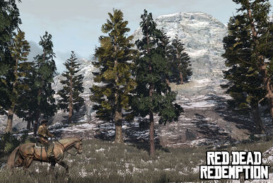 Desafíos de Red Dead Redemption/Buscatesoros, Red Dead Wiki