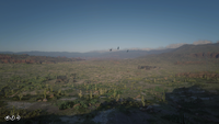 Cholla Springs viewed from east to west