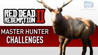 forbrug Gå en tur tøve Master Hunter Challenges in Redemption 2 | Red Dead Wiki | Fandom