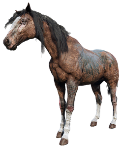 Appaloosa, Red Dead Wiki