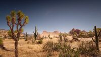 Clear sunny skies, Cholla Springs