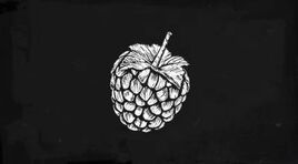Red-Raspberry-drawing