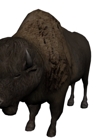 American Buffalo Dead Wiki | Fandom