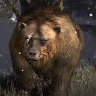 Rdr brumas bear.jpg