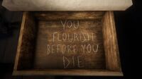 YOU FLOURISH BEFORE YOU DIE.jpg (213 KB) "YOU FLOURISH BEFORE YOU DIE" cheat code found in a drawer at Snowfield Shack