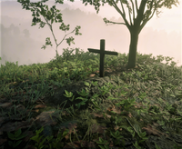 The grave of Susan, located in Roanoke Ridge, New Hanover