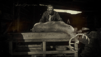 A loading screen depicting an NPC at the butcher's table in Colter