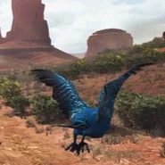 Songbird-01.jpg (122 KB) A blue Songbird.