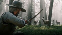 Wildlife Screenshots.7.jpg