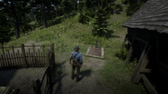 Red Dead Redemption 2 Screenshot 2020.06.04 - 18.38.58.84