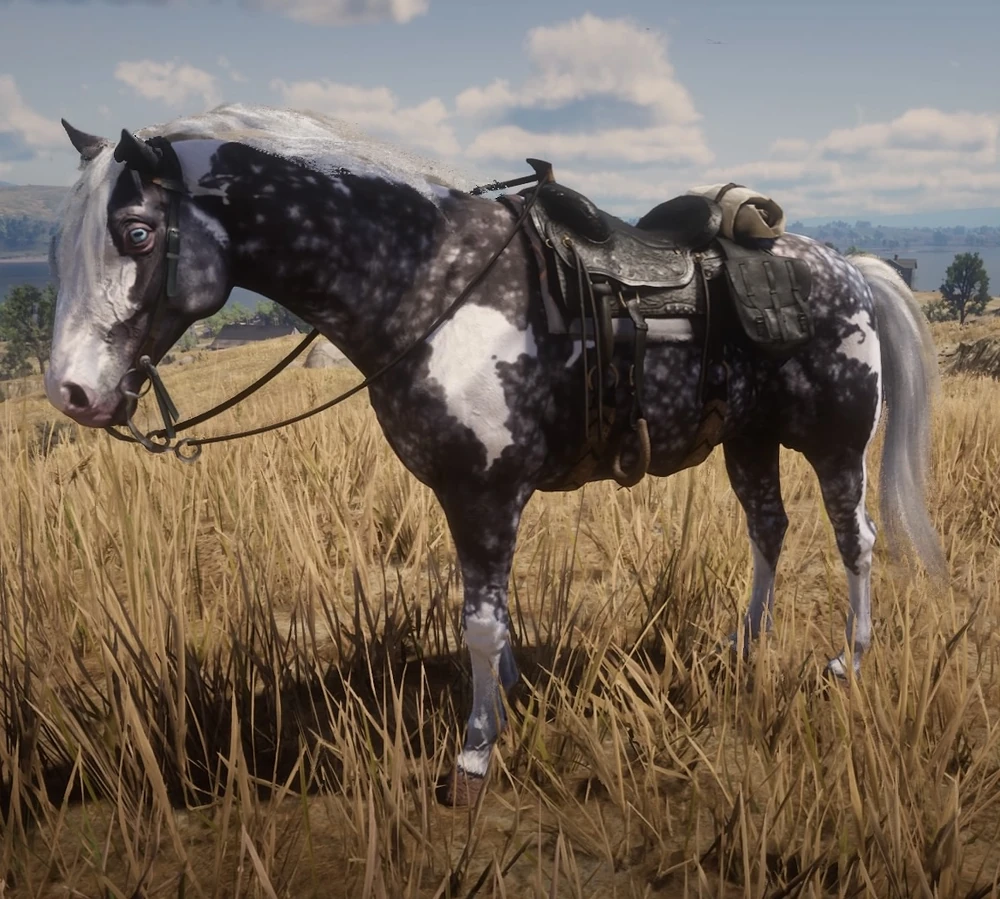 1000?cb=20190426090827