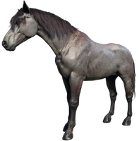 Karen's Horse Old Belle