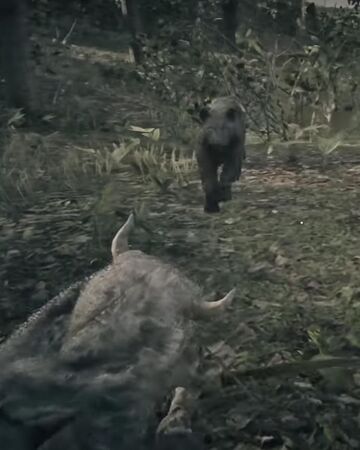 伝説のジャグアーロヒョウ レッドデッドリデンプション2 Rdr2 攻略 Wiki Fandom 伝説のジャグアーロヒョウ レッドデッドリデンプション2 Rdr2 攻略 Wiki Fandom