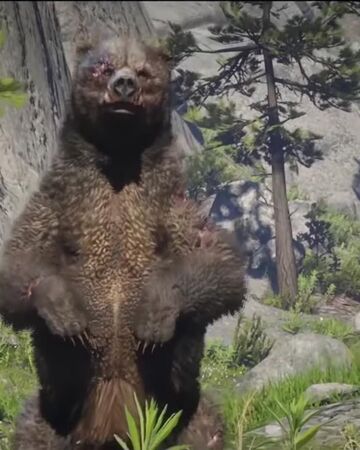 伝説のバーラディハイイログマ レッドデッドリデンプション2 Rdr2 攻略 Wiki Fandom