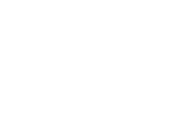 Demi-sang hongrois (RDR2)