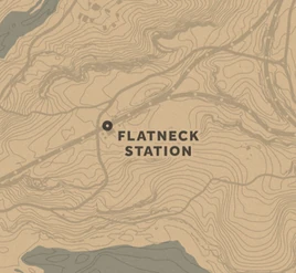 Flatneck Station03