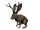 Jackalope