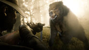 Un grizzly dans Red Dead Online Défis de chasse