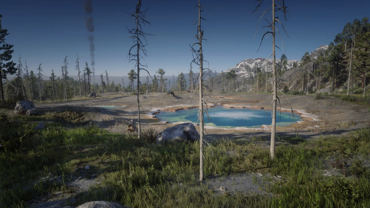 Cotorra Springs Red Dead Wiki Fandom