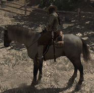 Marston sur le cheval