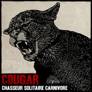 Cougar01