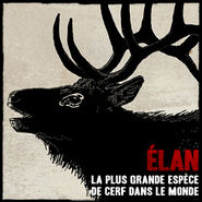 Élan01